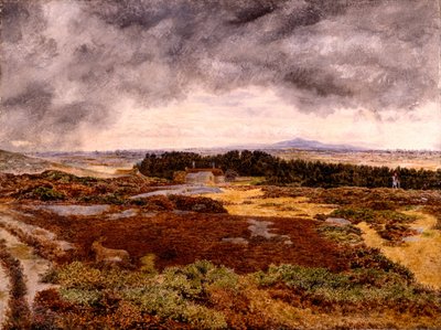 Blick vom Bidston Hill von William Davis